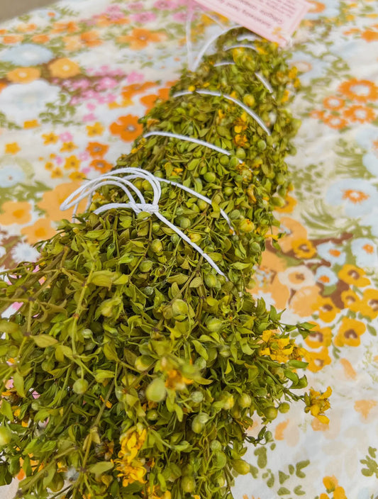 Creosote Shower Plant